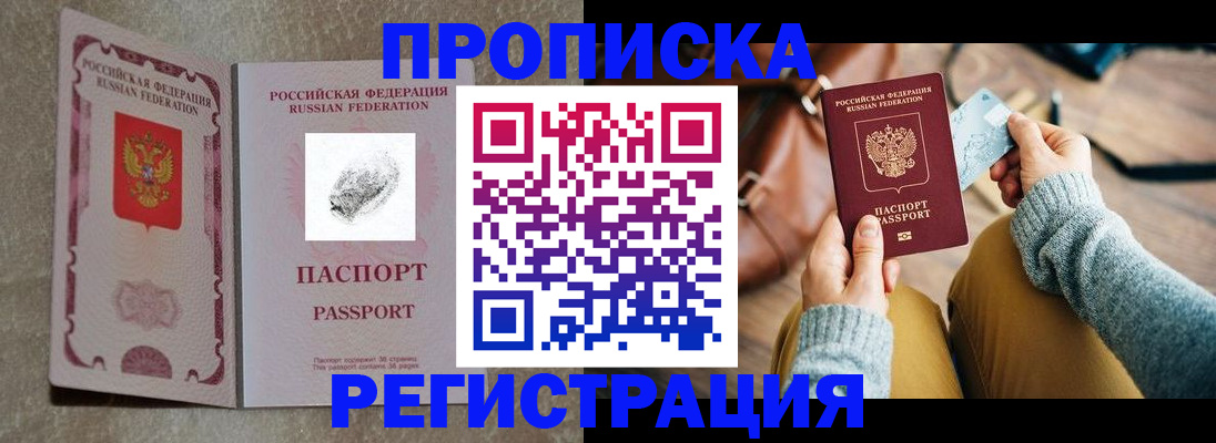 прописка поиск в Купино